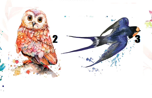 A ave escolhida indicará o que você precisa mudar para alcançar a felicidade na vida