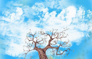 Quantos bebês você identifica? Um teste incrível que diz muito sobre a sua personalidade