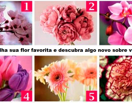 Escolha uma flor e descubra algo novo sobre você