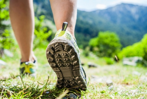 Caminhar na Natureza é o que muitos médicos prescrevem para termos mais saúde