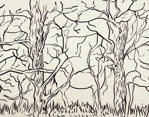 Como é seu caráter? a quantidade de animais que você viu na imagem te dirá!