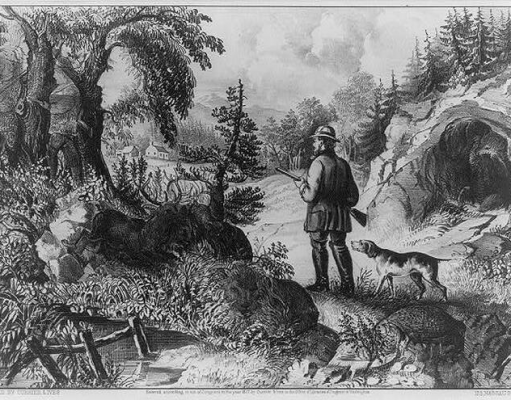 Quantos animais e pessoas você consegue encontrar neste quebra-cabeça? saiba a sua idade mental